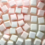 Overhead flat lay of pastel-colored Squishmallows arranged in gradient formation, soft natural window lighting, minimalist aesthetic, no text or logos visible, professional photography style